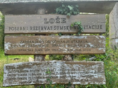 Obilazak spačvanskog bazena Obilazak spačvanskog bazena