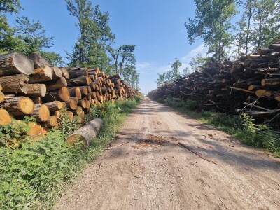 Obilazak spačvanskog bazena Obilazak spačvanskog bazena