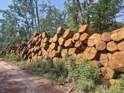 Obilazak spačvanskog bazena Obilazak spačvanskog bazena