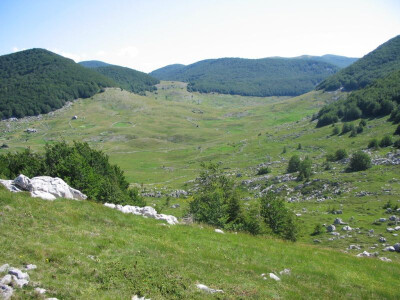 Obilje ispaše na Velebitu i tijekom ljeta Obilje ispaše na Velebitu i tijekom ljeta