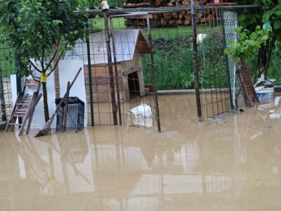 Obilna kiša s tučom pogodila Požegu i okolicu