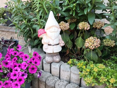 Obitelj Ćorić iz Iloka