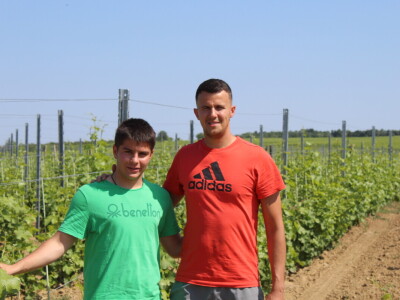 Obitelj Ćorić iz Iloka