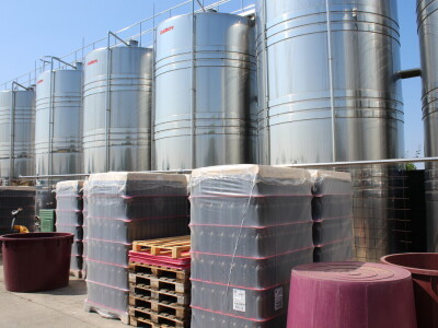 Obitelj Ćorić iz Iloka