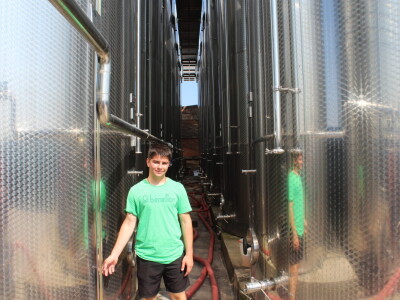 Obitelj Ćorić iz Iloka