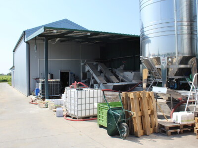 Obitelj Ćorić iz Iloka