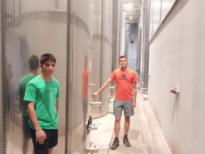 Obitelj Ćorić iz Iloka