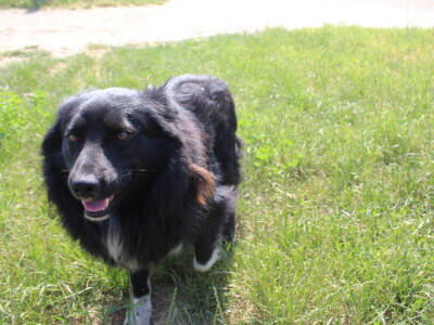 Obitelj Ćorić iz Iloka