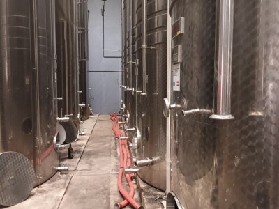 Obitelj Ćorić iz Iloka