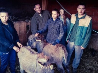 OPG Cvjetković OPG Cvjetković