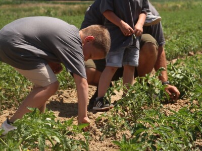 Obitelj Erhatić iz Podravine