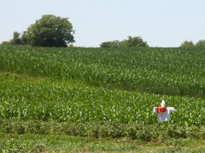 Obitelj Erhatić iz Podravine