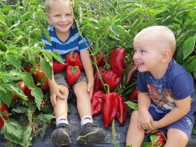 Obitelj Erhatić iz Podravine