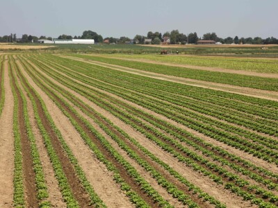 Obitelj Erhatić iz Podravine