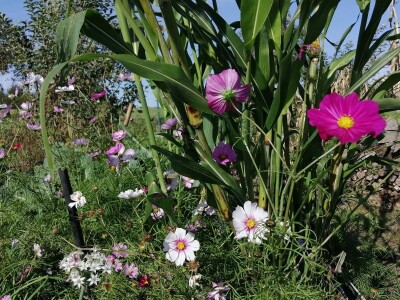 Obitelj Hren uspješno je spojila ekološku proizvodnju i turističku ponudu