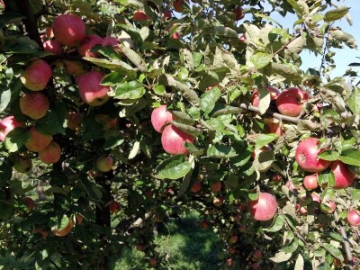 Obitelj Hren uspješno je spojila ekološku proizvodnju i turističku ponudu