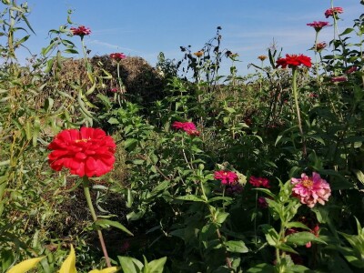 Obitelj Hren uspješno je spojila ekološku proizvodnju i turističku ponudu