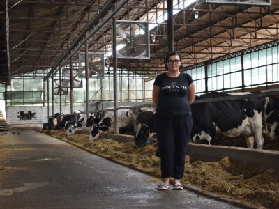 Obitelj Pavić - muzne krave