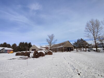 Obitelj Romić iz Kupresa najveći proizvođači ovčijeg mlijeka u BiH