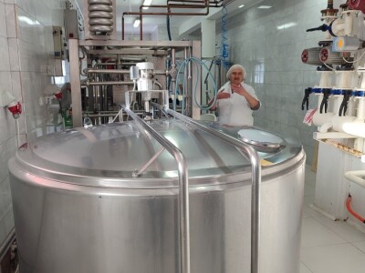 Obitelj Romić iz Kupresa najveći proizvođači ovčijeg mlijeka u BiH