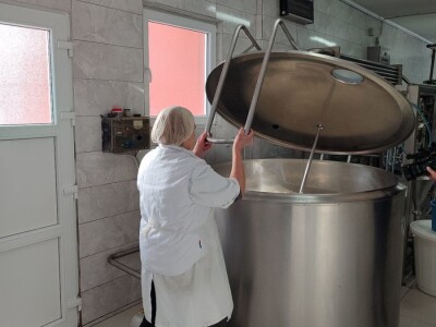 Obitelj Romić iz Kupresa najveći proizvođači ovčijeg mlijeka u BiH