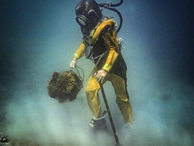 Obitelj Tanfara od 1896. godine čuva tradiciju otoka Krapnja, zanimanje koje se prenosi s oca na sina: spužvarstvo