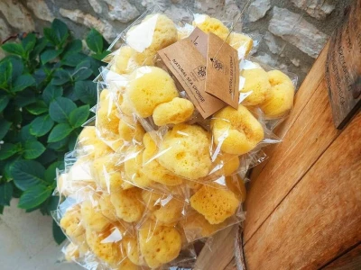 Obitelj Tanfara od 1896. godine čuva tradiciju otoka Krapnja, zanimanje koje se prenosi s oca na sina: spužvarstvo