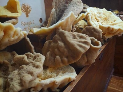 Obitelj Tanfara od 1896. godine čuva tradiciju otoka Krapnja, zanimanje koje se prenosi s oca na sina: spužvarstvo