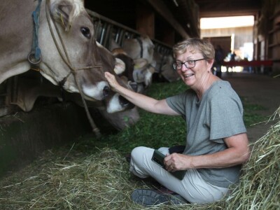 Obiteljska farma smeđih krava u Eichholzu