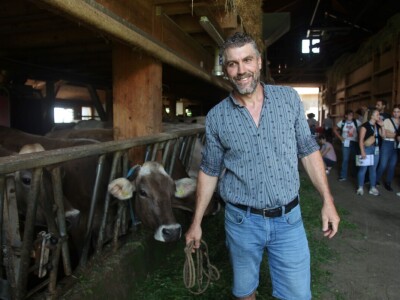 Obiteljska farma smeđih krava u Eichholzu