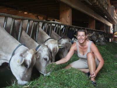 Obiteljska farma smeđih krava u Eichholzu
