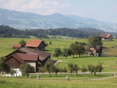 Obiteljska farma smeđih krava u Eichholzu