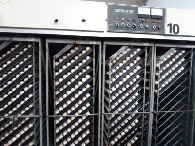 Obiteljsko gospodarstvo Grizelj