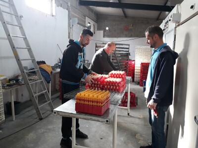 Obiteljsko gospodarstvo Grizelj