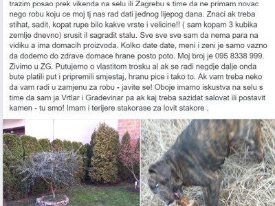 Štiham, gradim, sadim, ali umjesto novca, želim domaću hranu