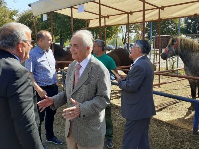 Obnova  Banovine Obnova  Banovine