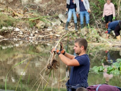 Obnova lokve u Loboriki