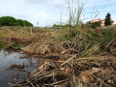 Obnova lokve u Loboriki