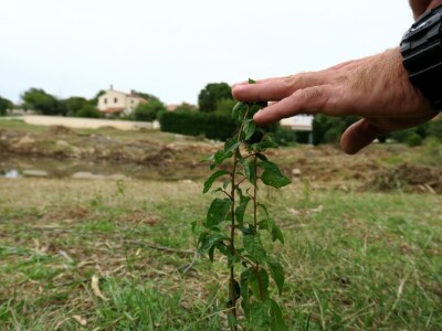 Obnova lokve u Loboriki