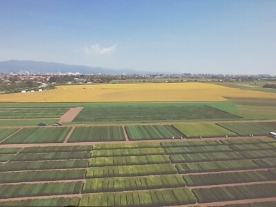 Obrana od tuče Obrana od tuče