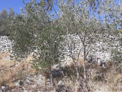 Obrana od tuče Obrana od tuče