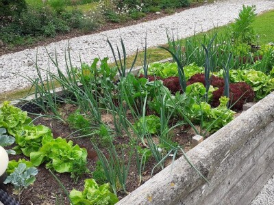 Obrana od tuče Obrana od tuče