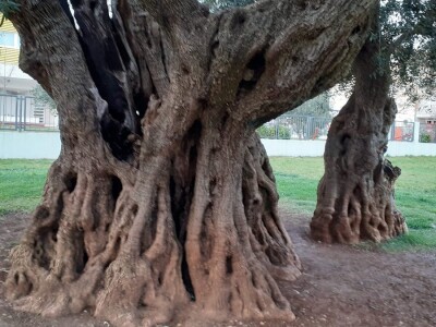 Obrana od tuče Obrana od tuče