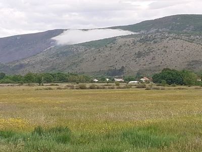 Ima li budućnosti za poljoprivredu u Grudama?