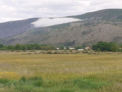 Ima li budućnosti za poljoprivredu u Grudama? Ima li budućnosti za poljoprivredu u Grudama?