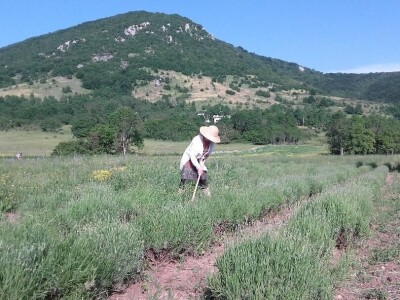 Obrt Ajda - Melanie Ajduković