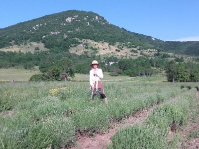 Obrt Ajda - Melanie Ajduković