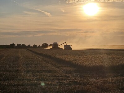 Obrt AZ vlasnice Melite Abičić iz Šaptinovaca