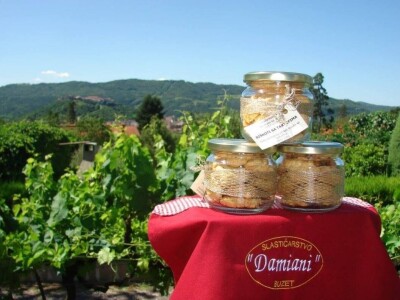 Obrt Damiani