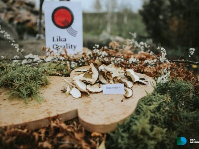 Obrt Golac - prerada gljiva i divljeg voća